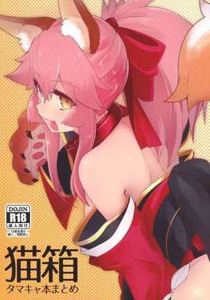 Tails The Fox Girl Hentai
