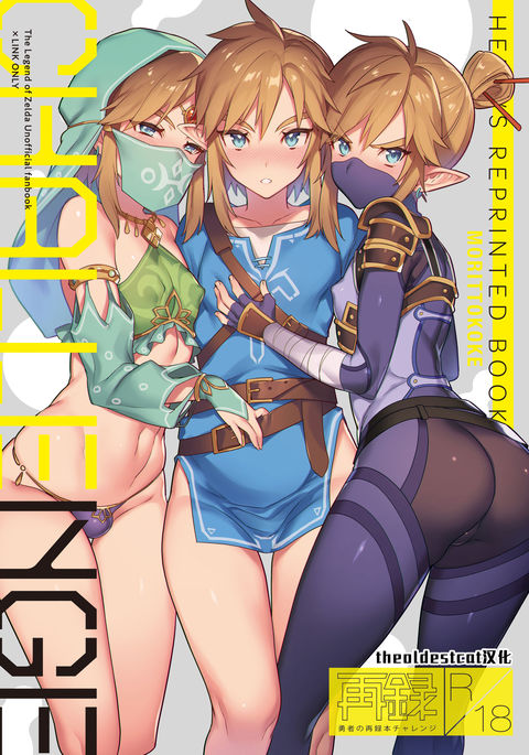 Legend Zelda Link Hentai